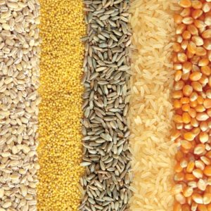 CanineComfort Memory Foam Mat